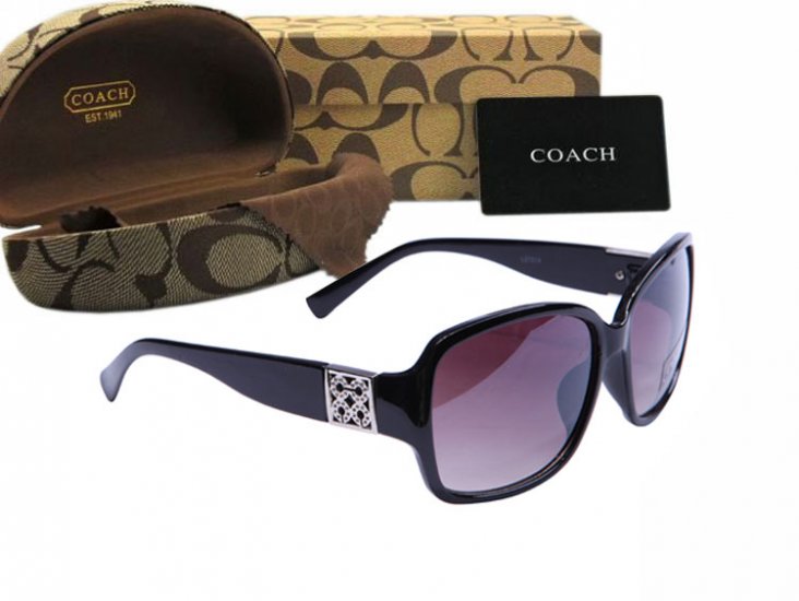 Coach Sunglasses 8005 | Women